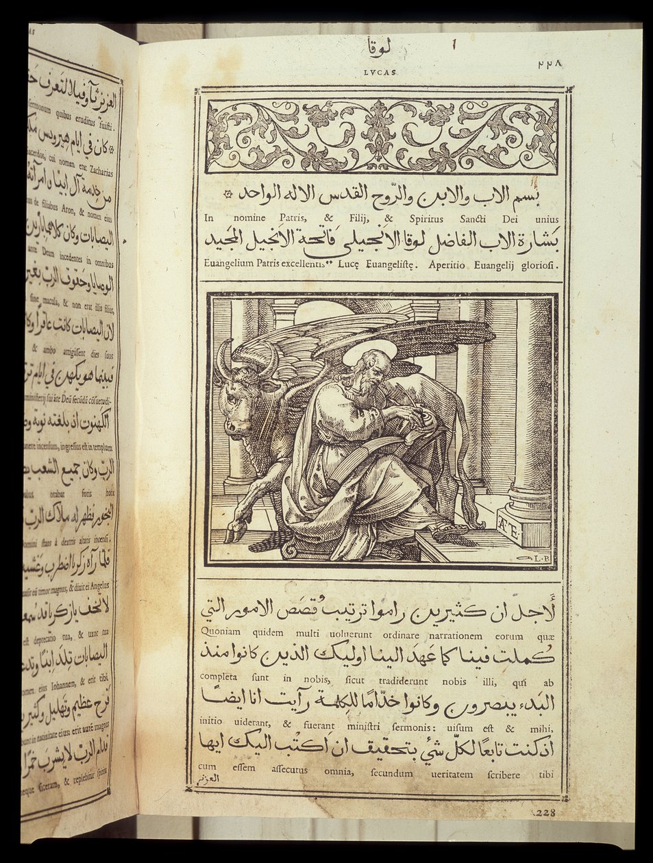 Szent Lukács evangélista a „Bibliában”” latinul és arabul. alkotó: Unknown artist