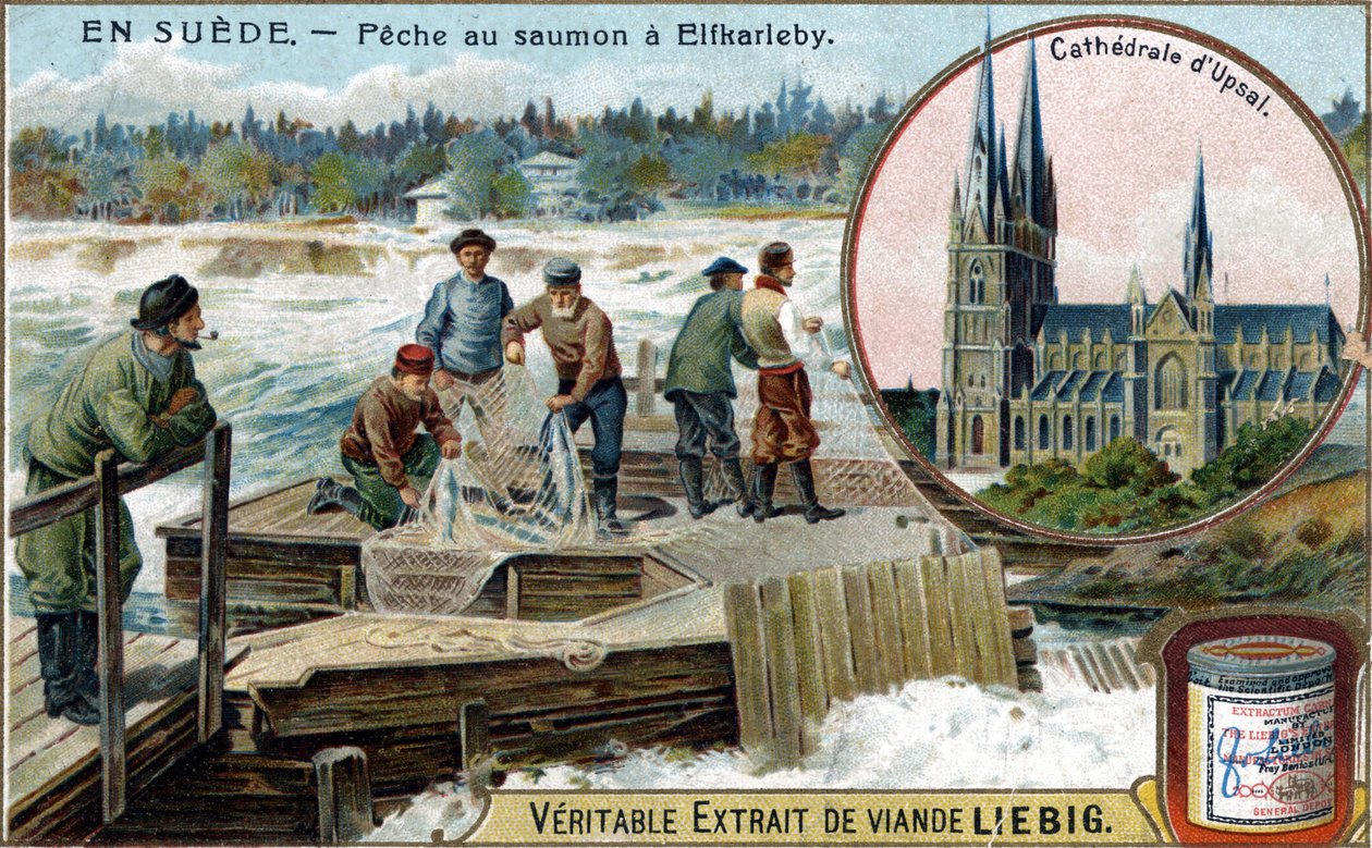 Lazachalászat Elfkarlebyben, Svédországban. Kromolitográfia, Liebig-kép. alkotó: Unknown artist
