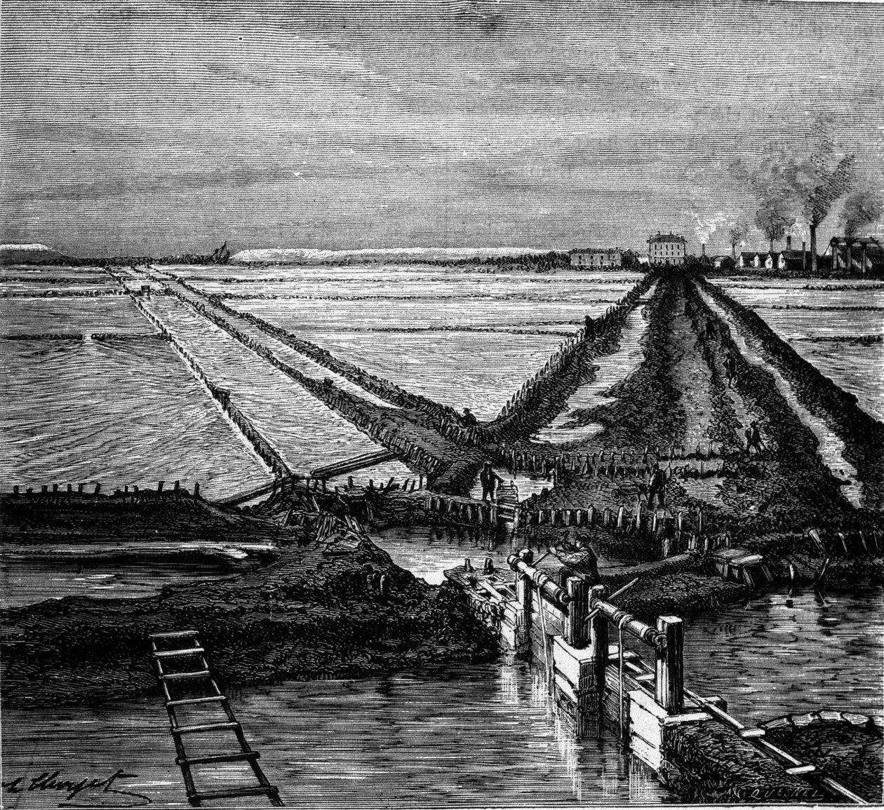 Sótermelés: kilátás a Földközi-tenger partján lévő szikes vizekre (sómocsárra). századi metszet alkotó: Unknown artist