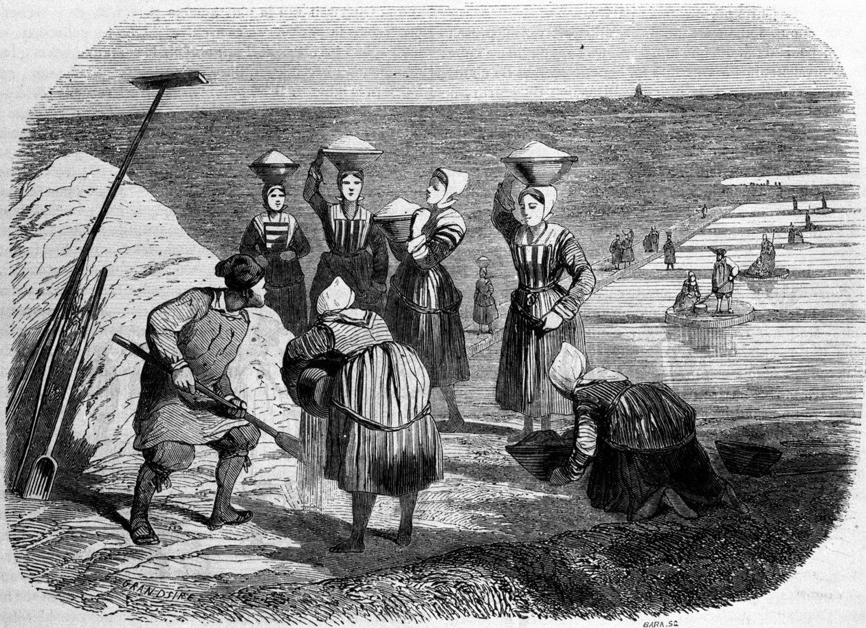 Sótermelés: szikes mocsarakban dolgozó nők. 19. századi metszet alkotó: Unknown artist