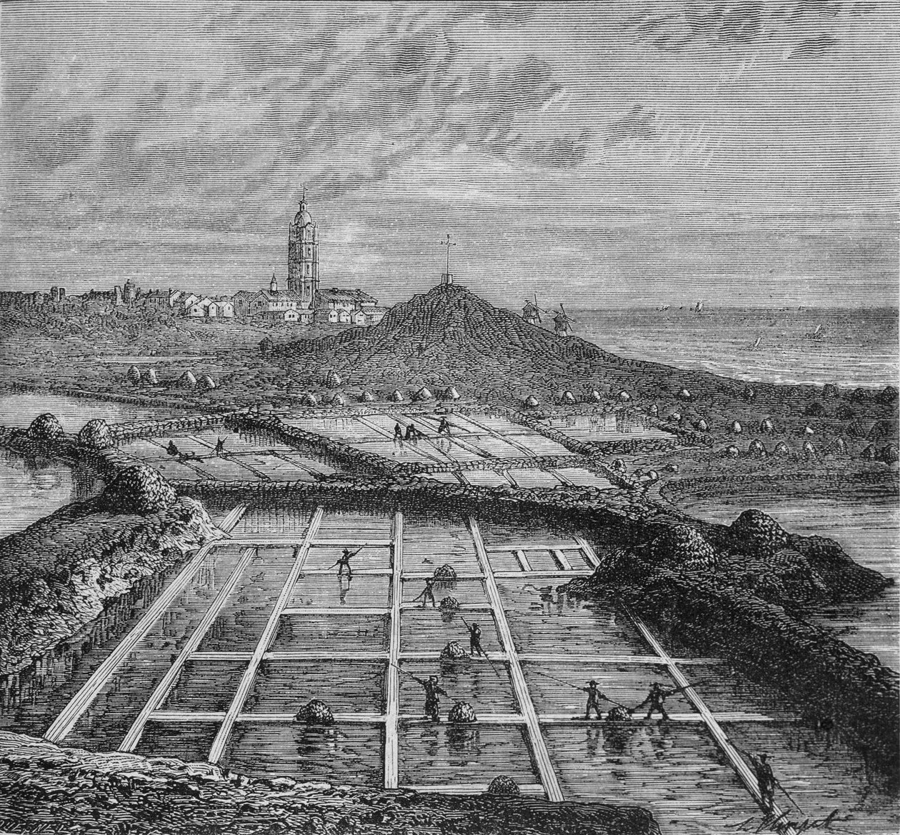 Sauniers egy sós mocsárban Bourg de Batzban, Croizic közelében (Bretagne) a Saunage időszakában. Louis Figuier „Az ipar csodái” című könyvében. alkotó: Unknown artist
