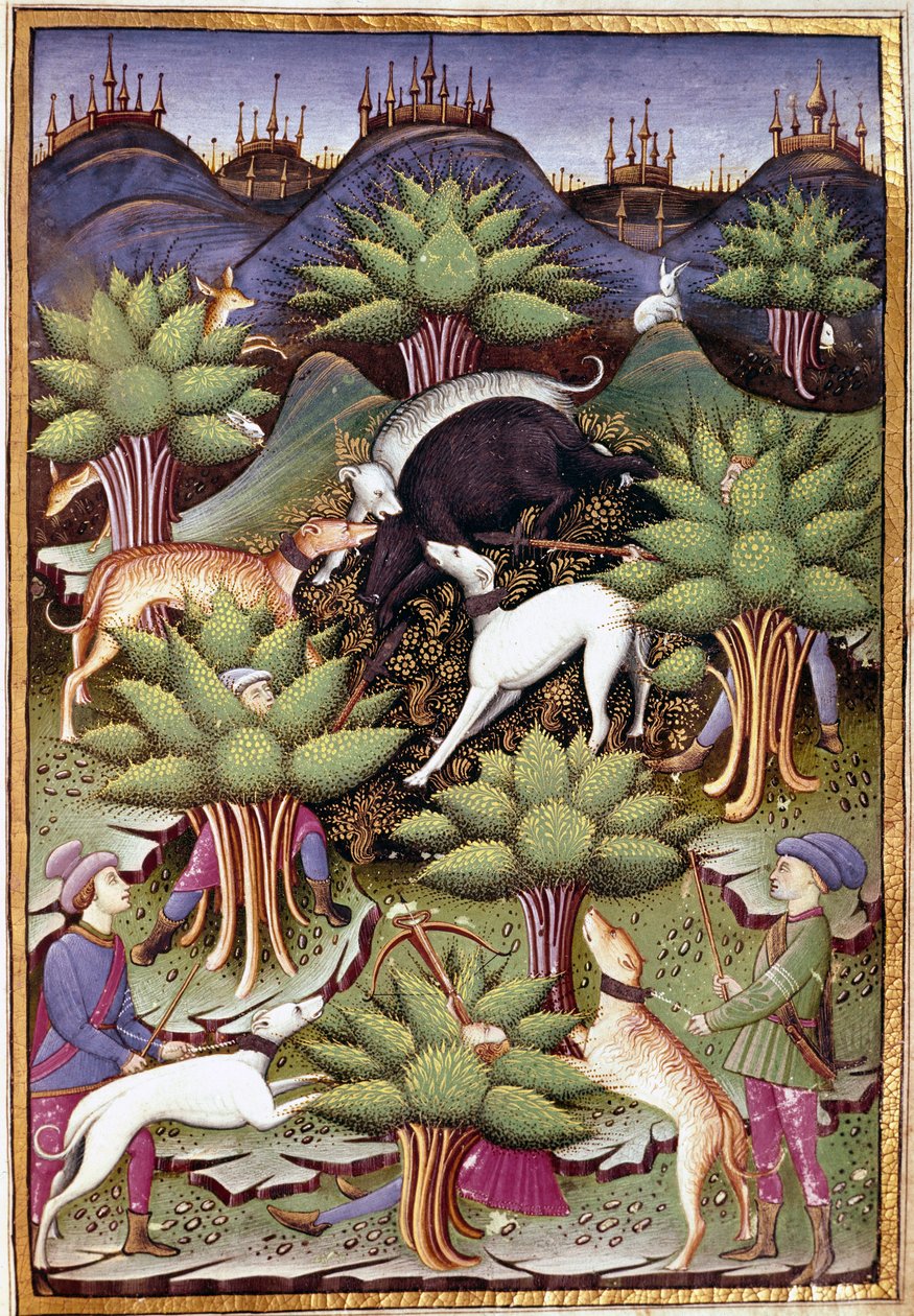 A vaddisznóvadászat jelenete Miniatűr a „” című filmből. Kezelje a solymászatot és a venyeret Sforza hercegének mottójával és emblémájával” 1459 (ms. 1375) Chantilly, Musee Conde alkotó: Unknown artist