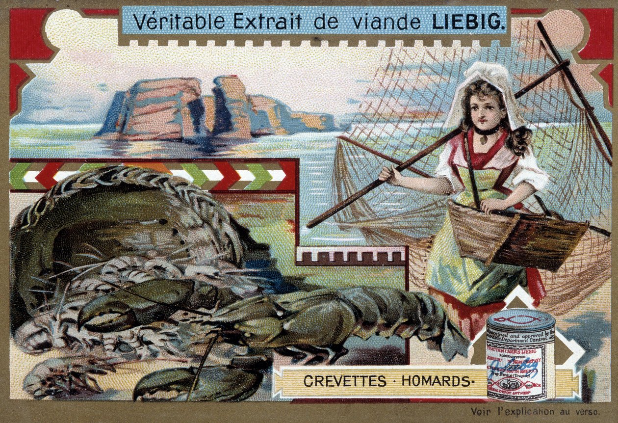 Garnélarák és homár, fiatal horgászasszonnyal, a kosarával és egy nagy hálóval - Liebig kromolitográfia alkotó: Unknown artist