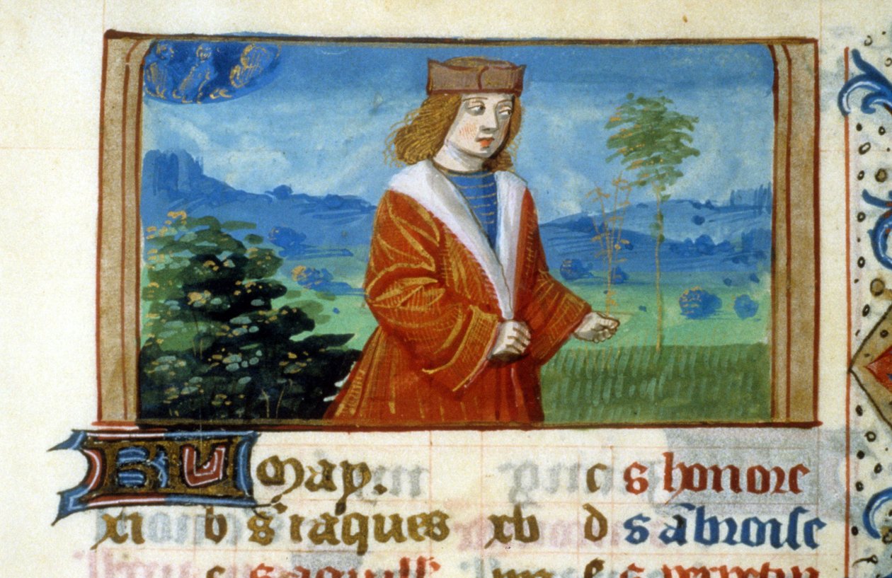 Ikrek jele és férfi a mezőkön - Miniatűr, középkor: Kérjen engedélyt a Toulouse-i Városi Könyvtártól (tel: 05 62 27 66 66) alkotó: Unknown artist