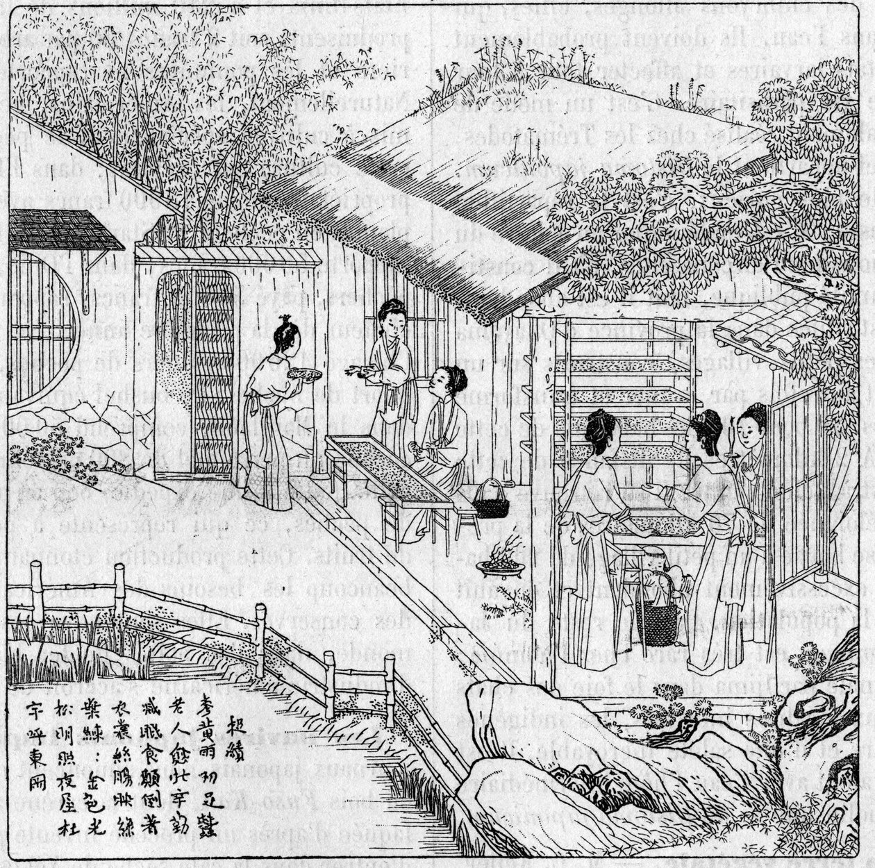 Selyem és selyemhernyó Kínában: A forogni akaró kukac elkülönítése. Metszet az 1888. augusztus 11-i „” La Nature: revue des sciences et de leurs applications aux arts et a l