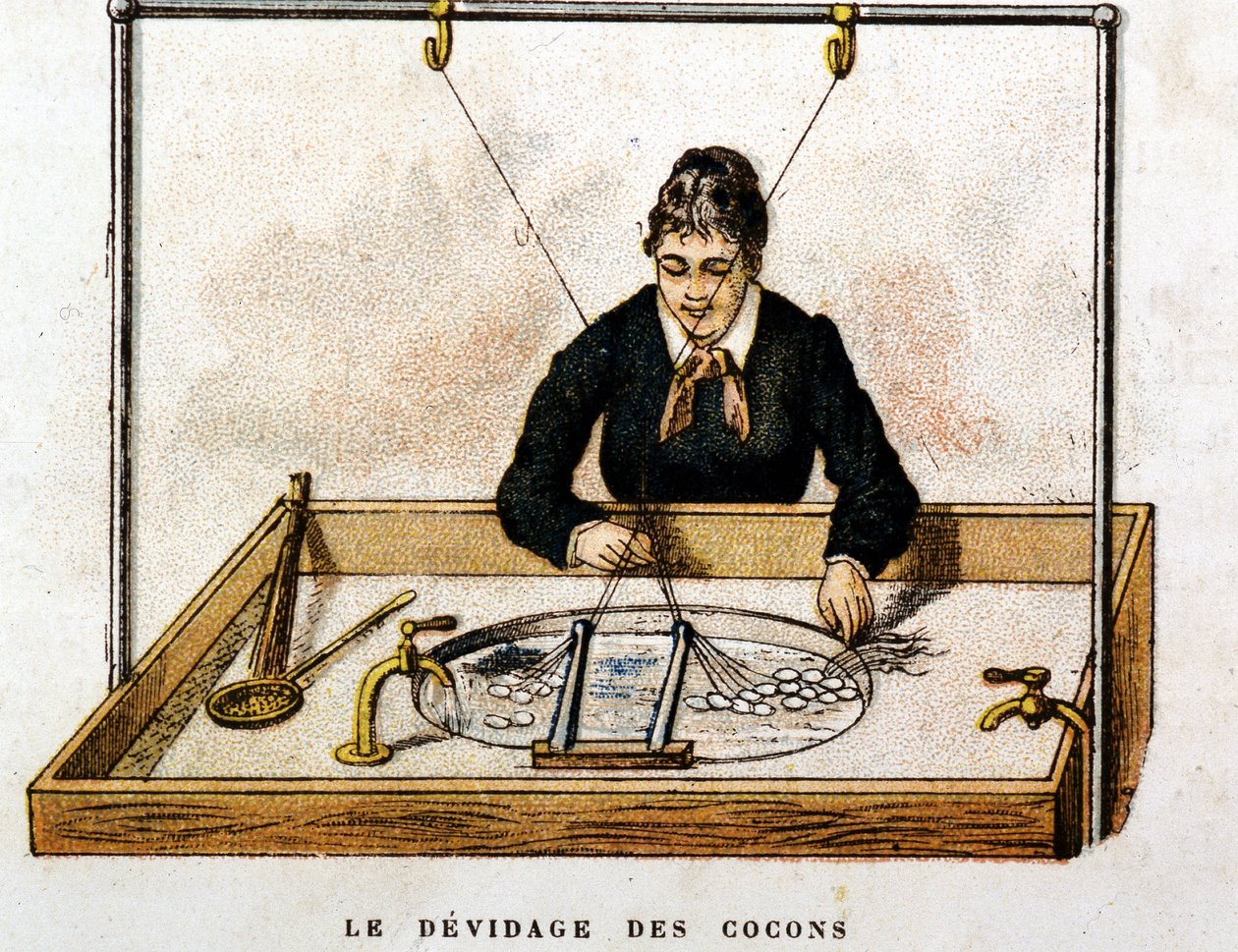 Selyemgubók - gravírozás alkotó: Unknown artist