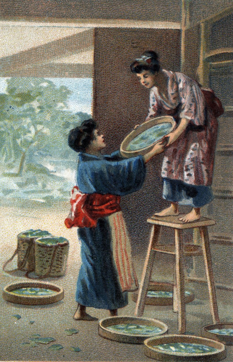 Selyemhernyó-tenyésztés japán mágnesben. A 19. század végének kromolitográfiája. alkotó: Unknown artist