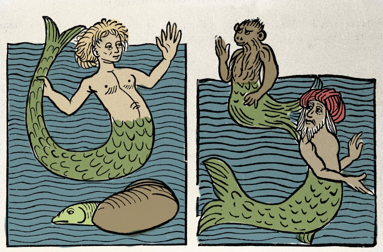 Sirene vagy Tengeri Szűz, Majom és Tengeri Török. Metszet a „Hortus sanitatis”-ból” alkotó: Unknown artist