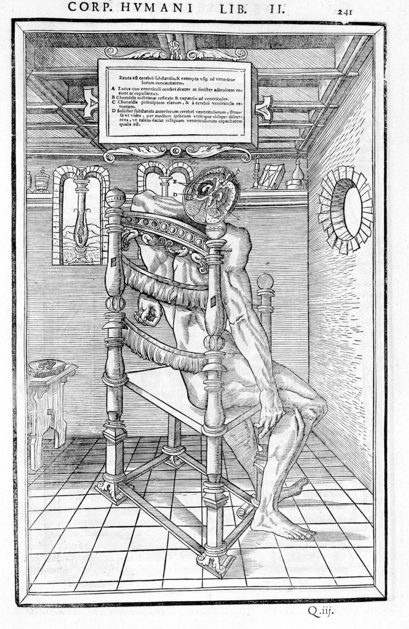Koponya vágott. Carlo Stefano Riverio, Párizs 1545 "Az emberi test három részének boncolása..." anatómiai táblája alkotó: Unknown artist
