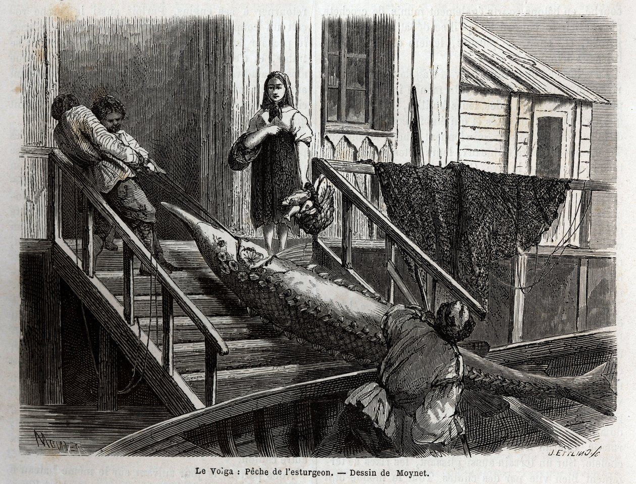 Tokhal halászat a Volga folyó torkolatánál. M. Moynet 1864-es metszete a Volga-utazás illusztrálására a „Le tour du monde, nouveau Journal des voyages” című folyóiratban, amelyet Edouard Charton irányítása alatt adtak ki. alkotó: Unknown artist