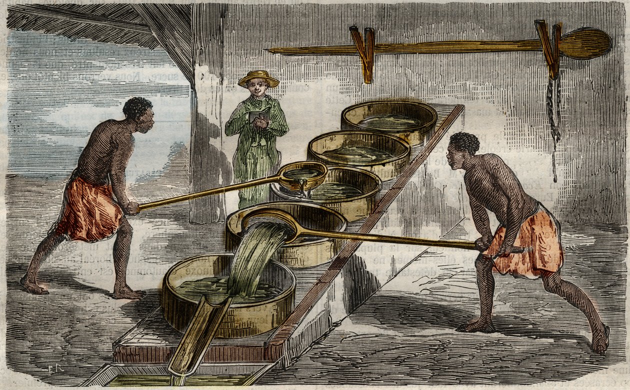 Cukorgyártás: kazánok a cukornádlé főzéséhez egy nyugat-indiai cukorgyárban. Metszet 1859-ből a "Le Musee Des Sciences"-ben. alkotó: Unknown Artist