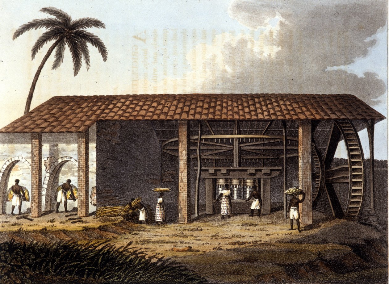 Cukormalom, Antille alkotó: Unknown artist