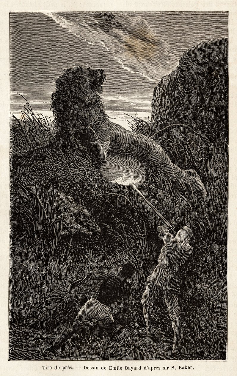 Napkeltekor a túra során meglepett oroszlán a szerző lelövi és megsebesíti az állatot. Sir Samuel W. Baker 1861–62-es metszete a Nílus abesszin mellékfolyóinak feltárását szemléltetve, megjelent a „Le tour du monde” 1870-1871-ben, szerk. alkotó: Unknown artist