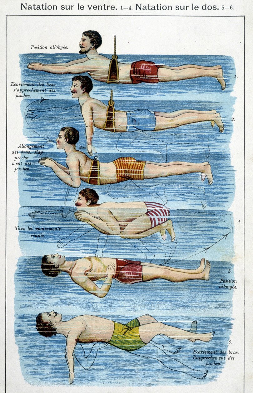 Úszás a hason - a „Bilz, Természetes Gyógyszer”-ben, 19. század vége alkotó: Unknown artist