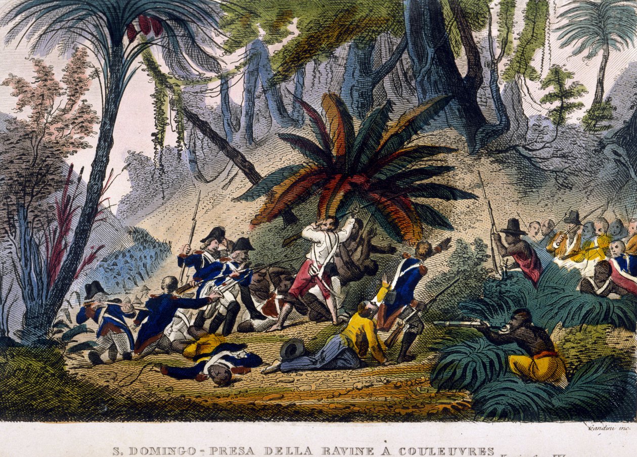 Készült de la Ravine Reuvres-ben 1802.02.23-án. A Leclerc-expedíció, amely körülveszi Francois Dominique Toussaint csapatait, az úgynevezett „Toussaint-Louverture” (Toussaint Louverture) alkotó: Unknown artist