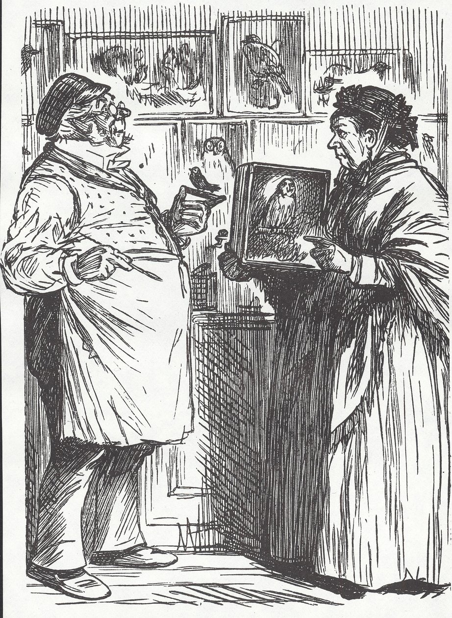 Taxidermist, 19. század vége (fametszet) alkotó: Unknown artist