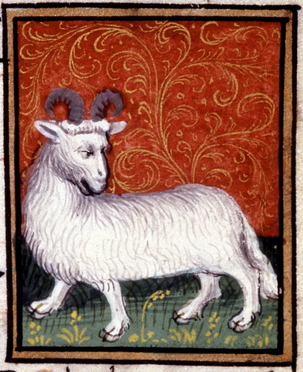 A Kos. Miniatűr horoszkóp. 15. századi kézirat. Bibl. Trivulziana, Milánó. alkotó: Unknown artist
