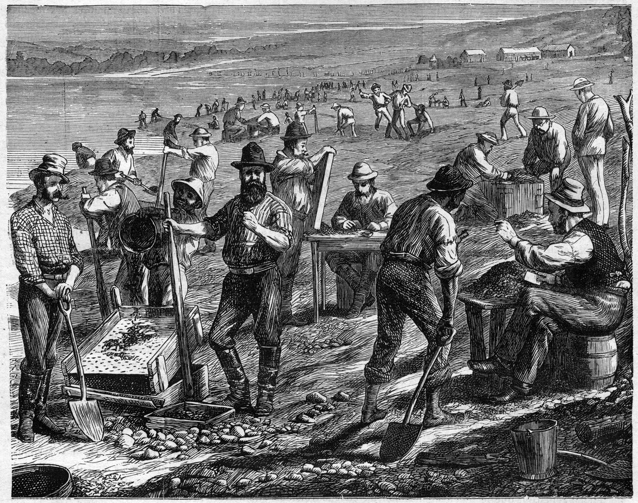 The Diamond Fields at the Cape – Mosás gyémántért – Mossa gyémántokat Dél-Afrikában a 19. században. alkotó: Unknown artist
