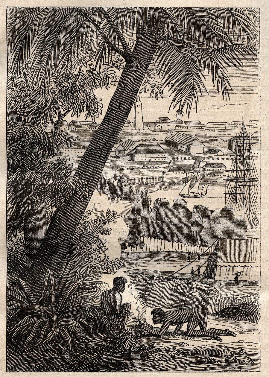 Nicolas Baudin (1754-1803) expedíciója a déli földekre (1800-1803): Sydney látképe (Ausztrália) - illusztráció a „18. századi nagy tengerészek” c. alkotó: Unknown artist