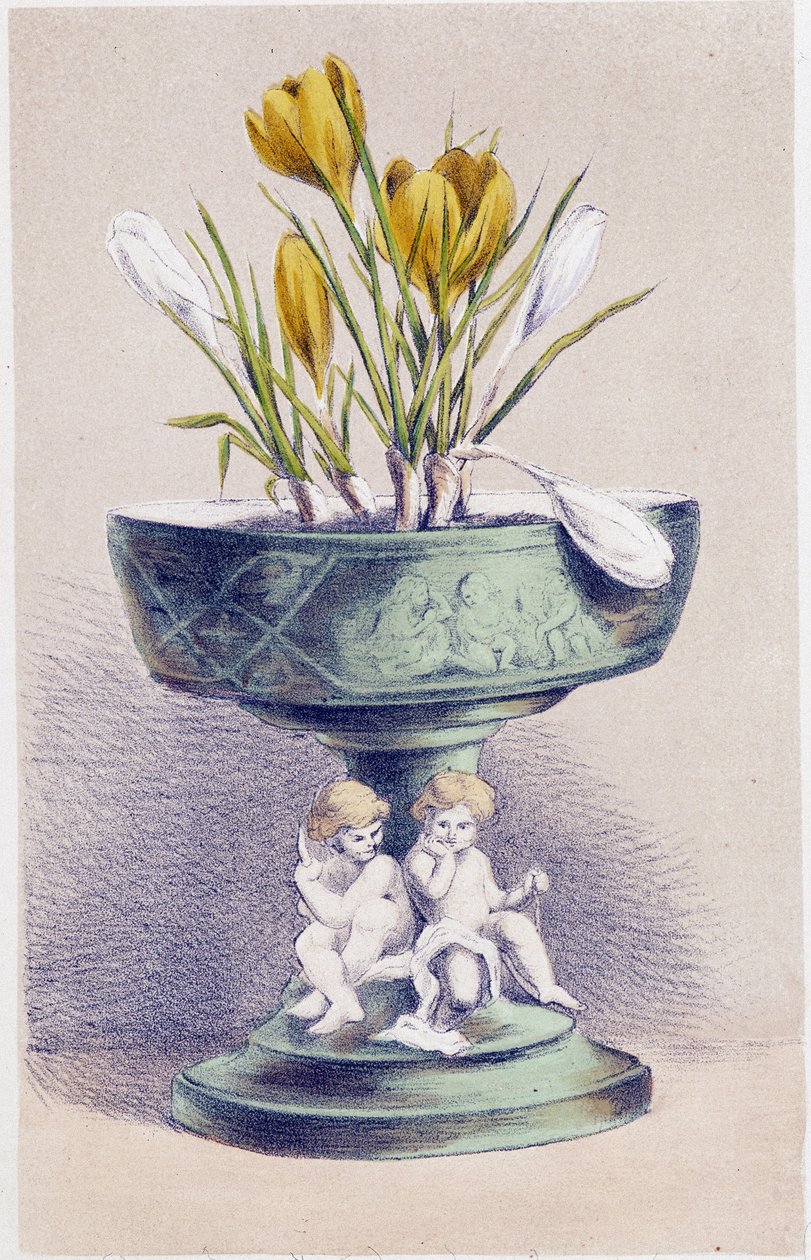 A négy évszak: tavasz, nárciszok alkotó: Unknown artist