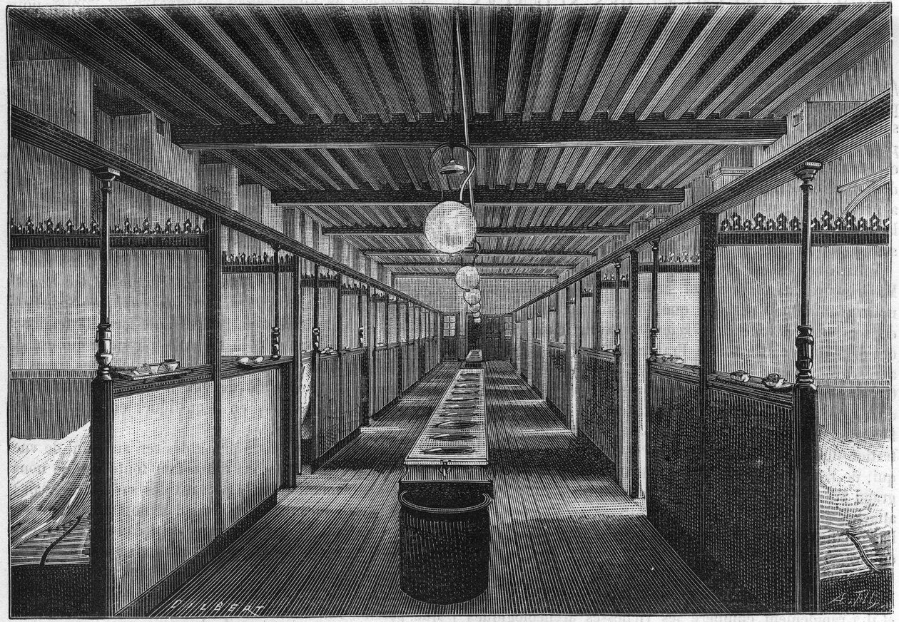 A Monge Iskola 1884-ben Párizsban. Kollégium mosdókagylókkal. a természetben. A tudományok áttekintése és alkalmazásaik a művészetben és az iparban.” alkotó: Unknown artist