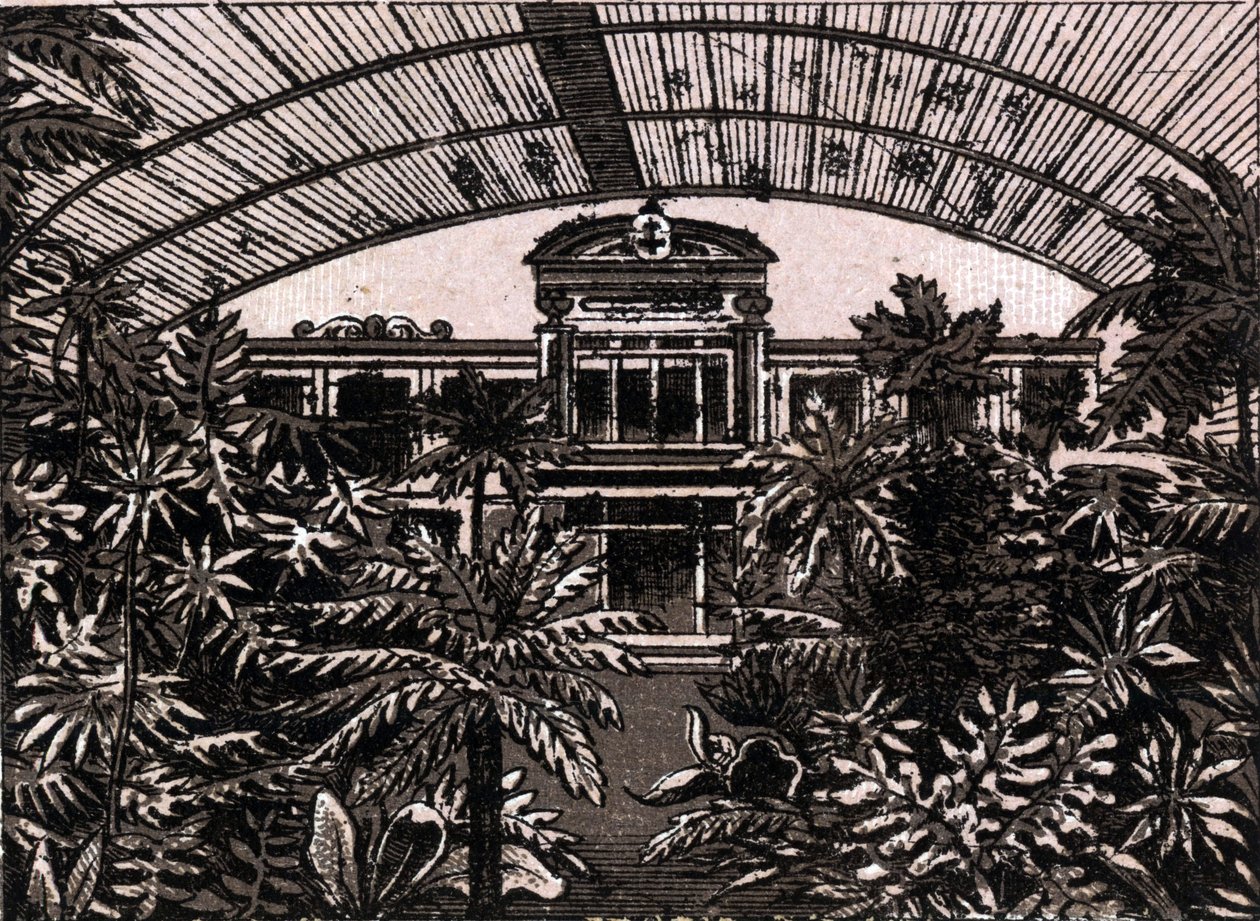 A pálmakert Frankfurtban, Németországban (Frankfurt, Németország) a „The World Illustrates 168 Views” című kötetben, dátum nélkül (19. század vége) alkotó: Unknown artist