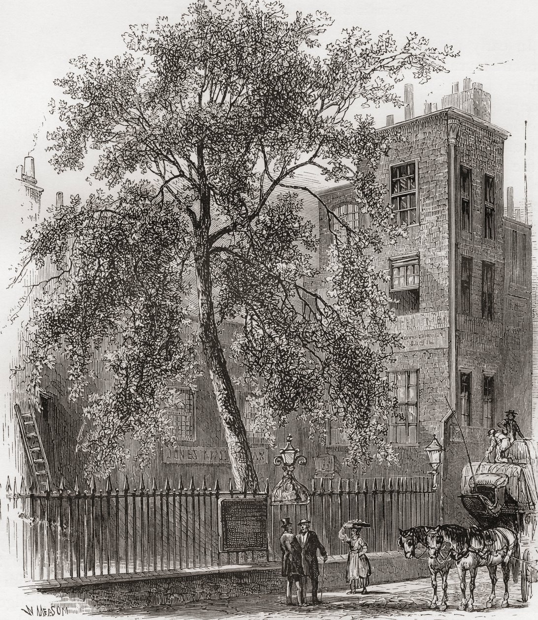 The Plane Tree, Wood Street, Cheapside, London, Anglia a 19. században alkotó: Unknown artist
