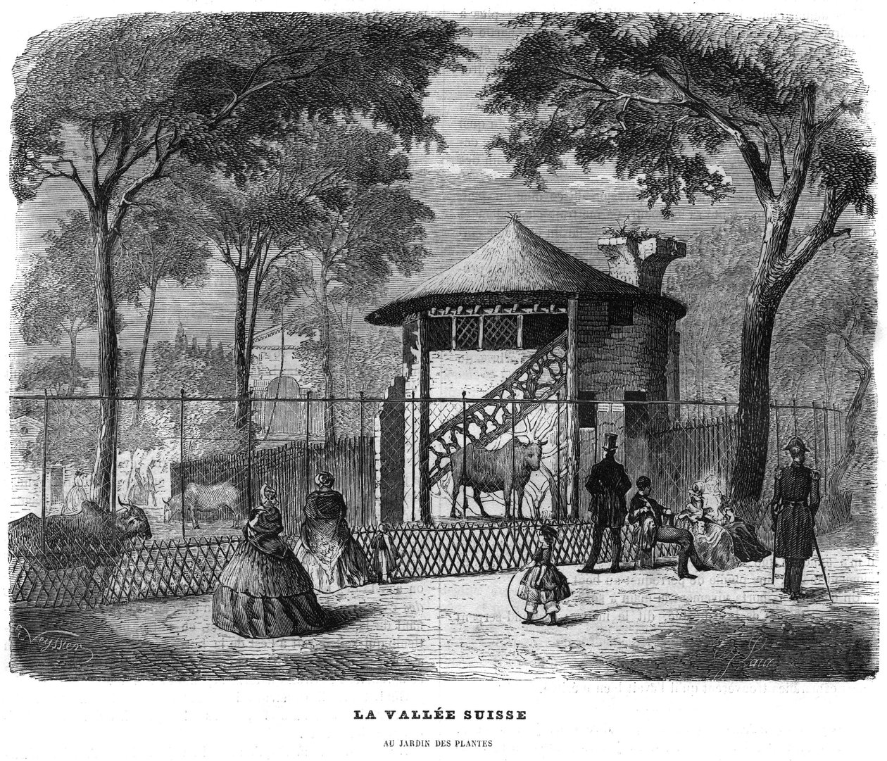A svájci völgy a párizsi növénykertben 1858-ban. alkotó: Unknown artist