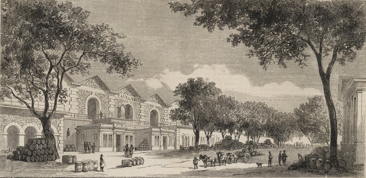 A borraktár Párizsban 1861-ben - Eaux de vie kerület alkotó: Unknown artist