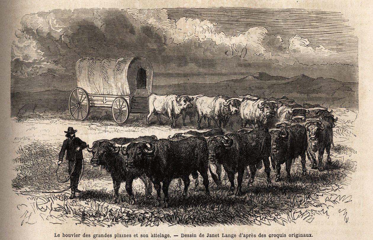 A nagy síkságok kormányozzák és a vonószerkezete. M. L. Simonin 1867-es metszete az amerikai távol-nyugati utazás szemléltetésére, megjelent a „Le tour du monde, nouveau Journal des voyages” című folyóiratban, szerkesztette Edouard Charton alkotó: Unknown artist