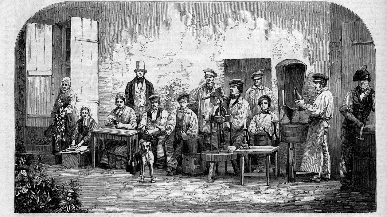 A pezsgő bor palackozása. Metszet 1864-ből. alkotó: Unknown artist