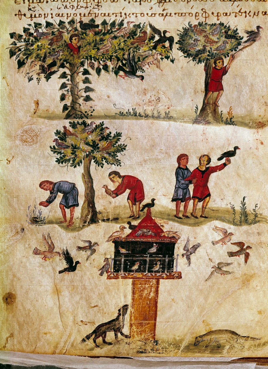 A szíriai Oppian (Oppian vagy Oppianus) (i.sz. III. század) Caracallának szentelt vadászatából származó törpesólymok tenyésztése és képzése. 11. századi Velence. Biblioteca Marciana alkotó: Unknown artist