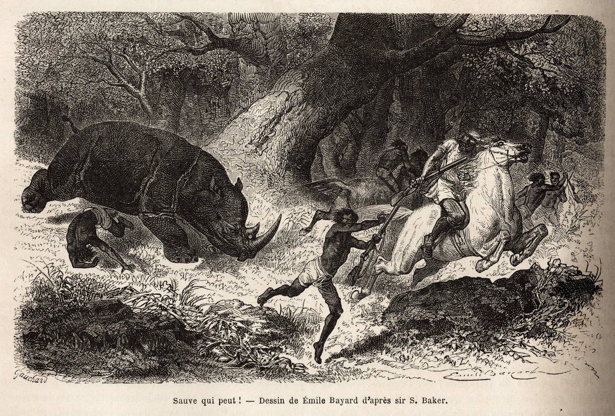 Az orrszarvú rohama, amely felborítja és csapdába ejti a vadászokat, a szerző és vezetői keresése közben. Sir Samuel W. Baker 1861–62-es metszete a Nílus abesszin mellékfolyóinak feltárását szemléltetve, megjelent a „” Le tou alkotó: Unknown artist