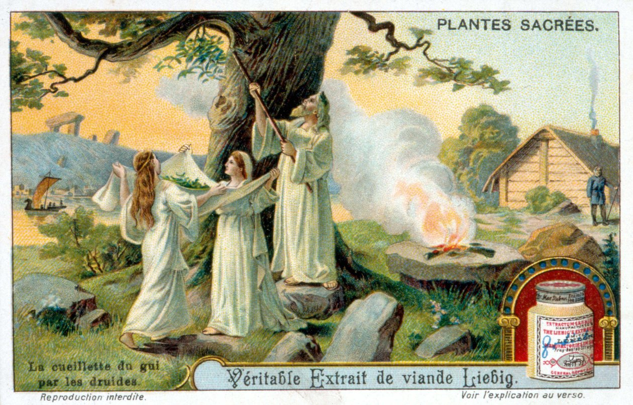 A druidák fagyöngygyűjteménye - Liébig reklámcímke. Kromolihtográfia 19. század alkotó: Unknown artist
