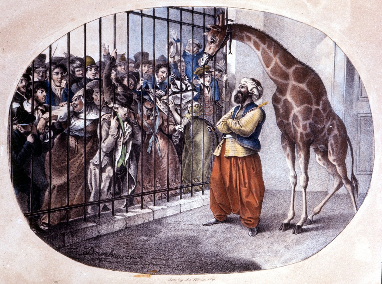 A kíváncsi tömeg egy zsiráfot pillantott meg egy kapu mögött. Danhaaren litográfiája. 1829 alkotó: Unknown artist