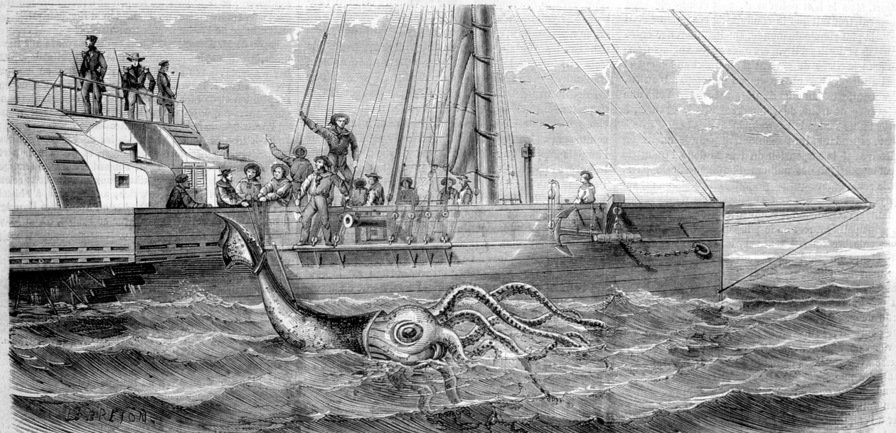 Az első óriási tintahal, amelyet 1861-ben fogott el az Alecton francia korvett. Amikor a legénység felemelte a fedélzetre, félbetört, és eltűnt a tenger fenekén. Metszet a 19. század végéről. breton alkotó: Unknown artist