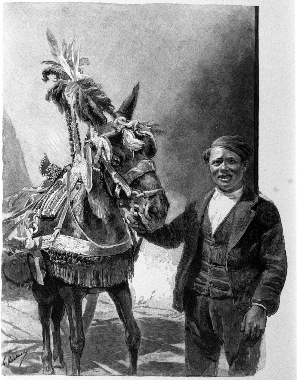 A szamár hámja a szicíliai tankokból a hagyományos ünnepségek során. századi metszet alkotó: Unknown artist