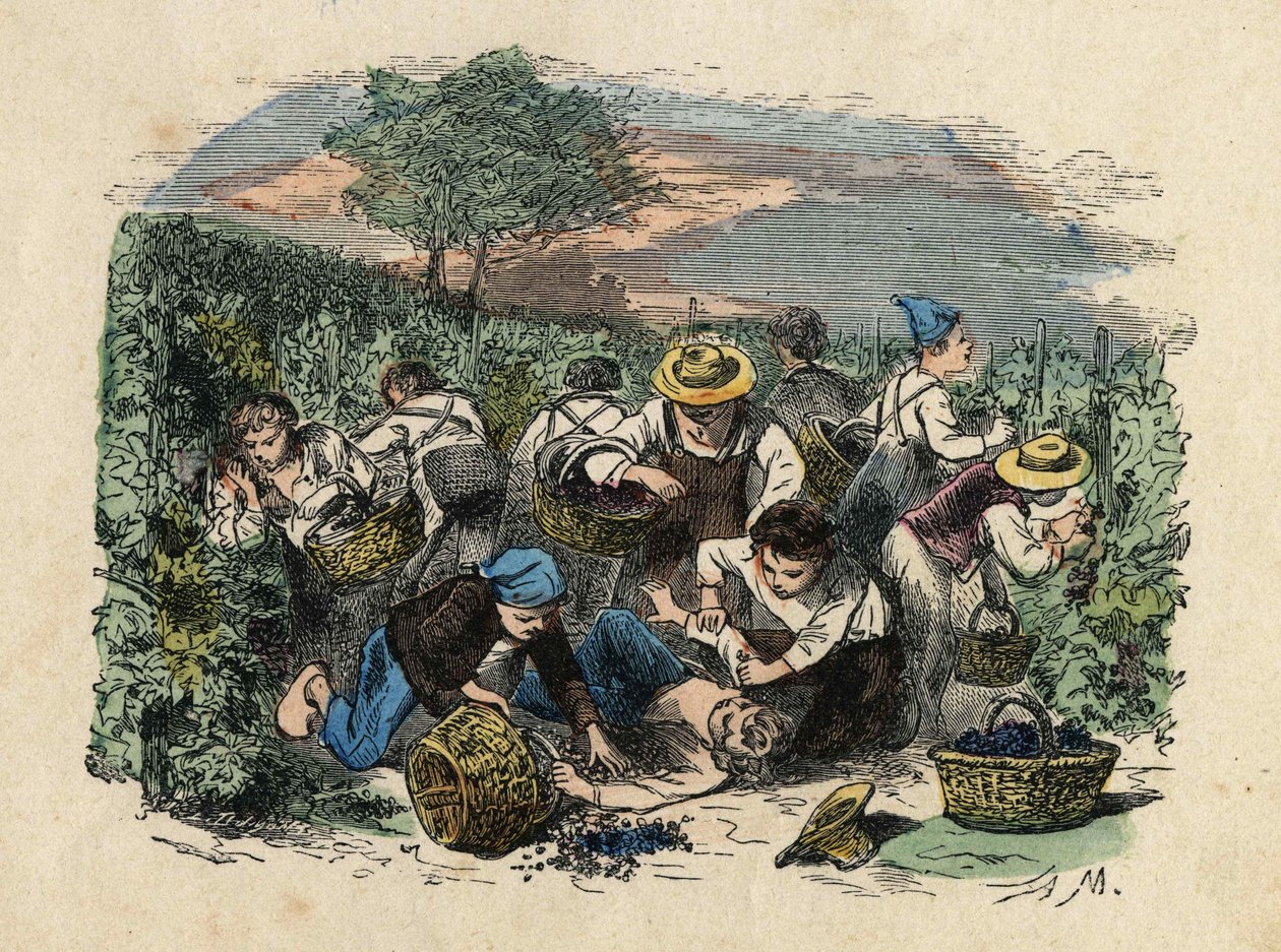 Aratás. 19. századi illusztráció. Bianchetti kollekció alkotó: Unknown artist
