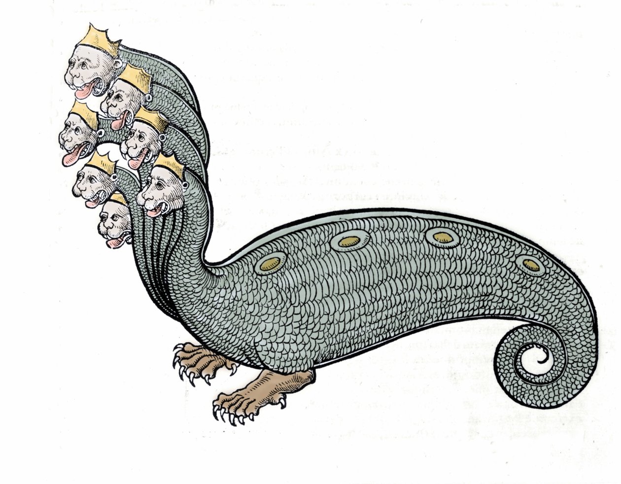 A hét fejű hidra egy vízikígyó, kutyatesttel. alkotó: Unknown artist