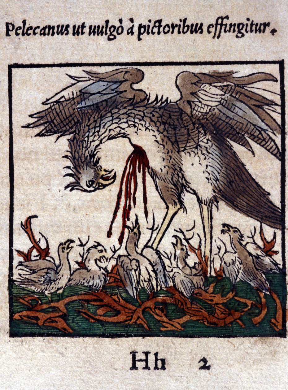 A pelikán legendája: vérét és beleit adja fiókáinak etetésére. Konrad Gesner, Tiguri Historiae animaliumból alkotó: Unknown artist