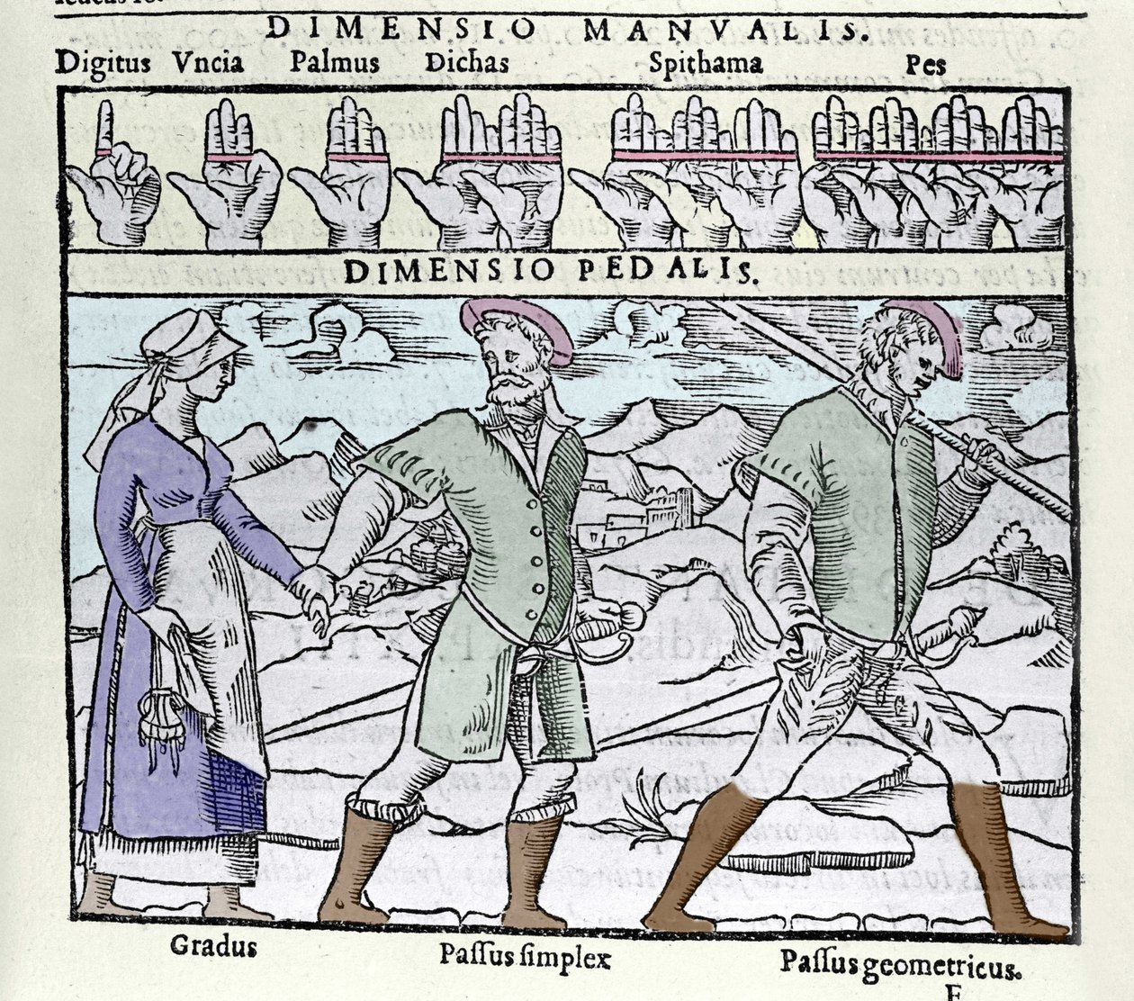 században használt hosszmértékegység. Felső: digitus (ujj vagy hüvelykujj), tenyér (tenyér vagy empan = 4 ujj), pes (láb = 4 uszony). Alul: Gradus (nem szimpla), Passus (nem dupla) szimplex és Passus geometricus. Metszet Petrus „Cosmographiájából”. alkotó: Unknown artist