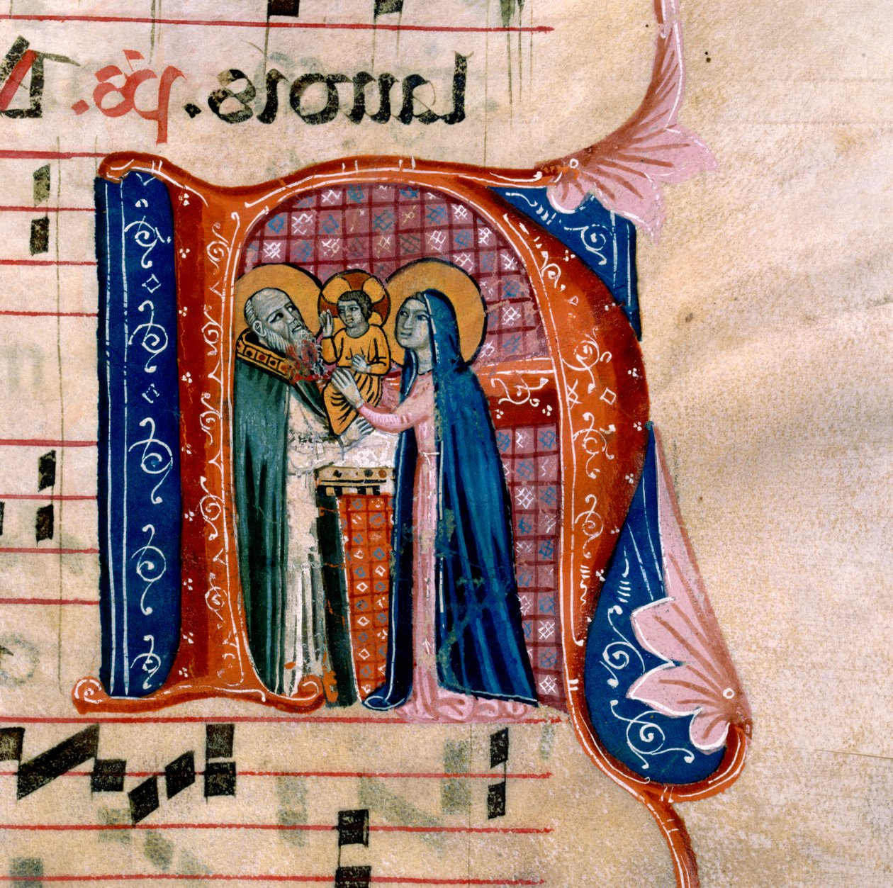 Az "N" betű a templomi bemutatót ábrázolja: az Antiphonary f.36v alkotó: Unknown artist
