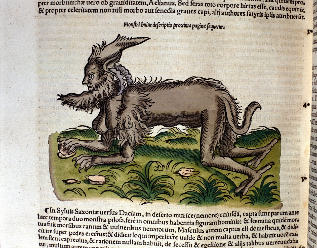 Manticore a Historia Animaliumból, Conrad Gesner, Tiguri, 1560. Biblioteca Nazionale Braidense. Milánó alkotó: Unknown artist