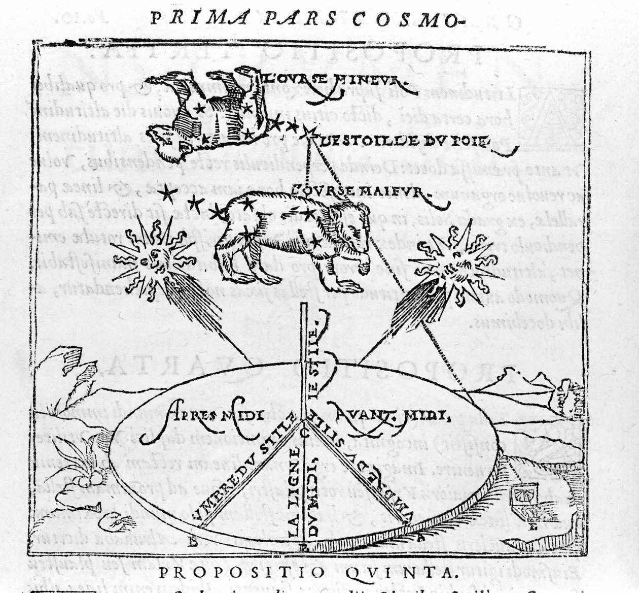 A sarkcsillag és a Medve csillagképei Pietro Apianus „kozmográfia” után. Párizs 1551 alkotó: Unknown artist