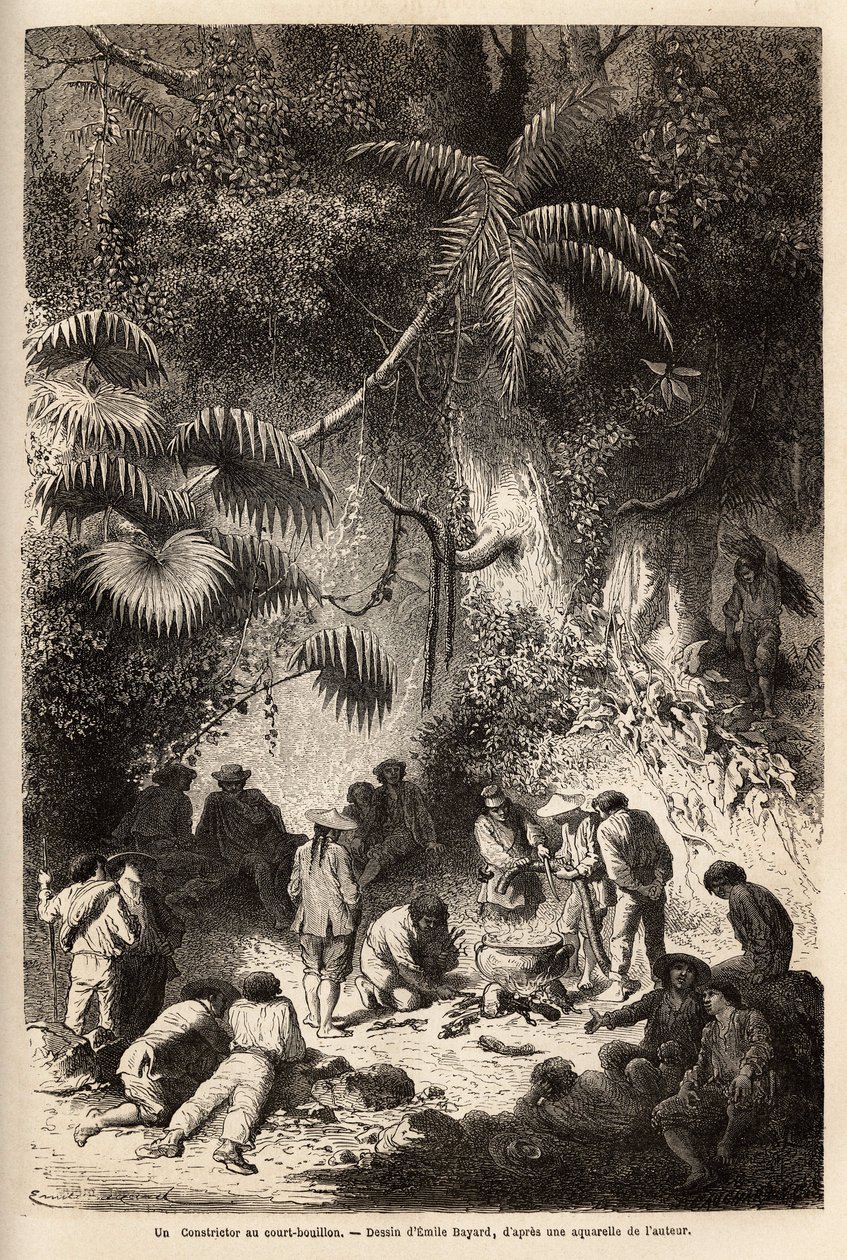 Étkezés készítése a Caravaya völgy érintetlen erdőjében (Andes cordilliere), boa rövid húslevessel. Paul Marcoy 1849-1861-ben megjelent Quinquinas (Peru) voyage dans les vallees de gravírozása, a Le tou folyóiratban jelent meg. alkotó: Unknown artist