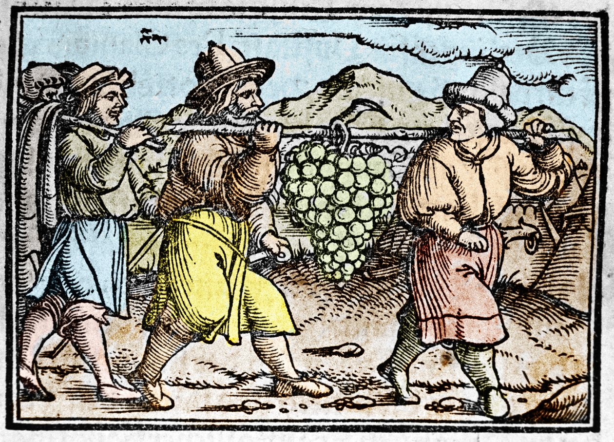 Józsué és Káleb visszatérése egy hatalmas szőlőfürttel Kánaán földjéről (Ígéret Földje). Johann Stumpff krónikája "" Den edlen strucen besten fromen"" alkotó: Unknown artist