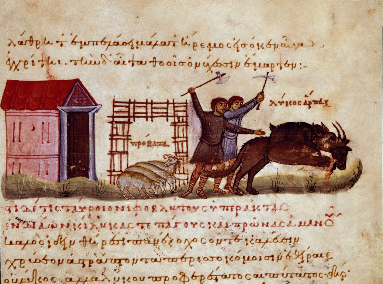 A pásztorok igyekeznek megvédeni a fenevadat a törpefarkasok támadásától a szíriai Oppian (Oppian vagy Oppianus) (Kr. u. 3. század) Caracallának szentelt „A cynegetics” vadászkereskedelméből. 11. századi Velence. Biblioteca Marciana alkotó: Unknown artist