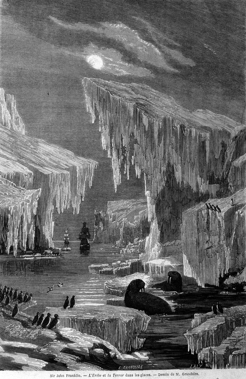 Az Erebus és a Terror hajók a Sir John Franklin (1786-1847) által vezetett expedíció során a jégbe. századi metszet alkotó: Unknown artist