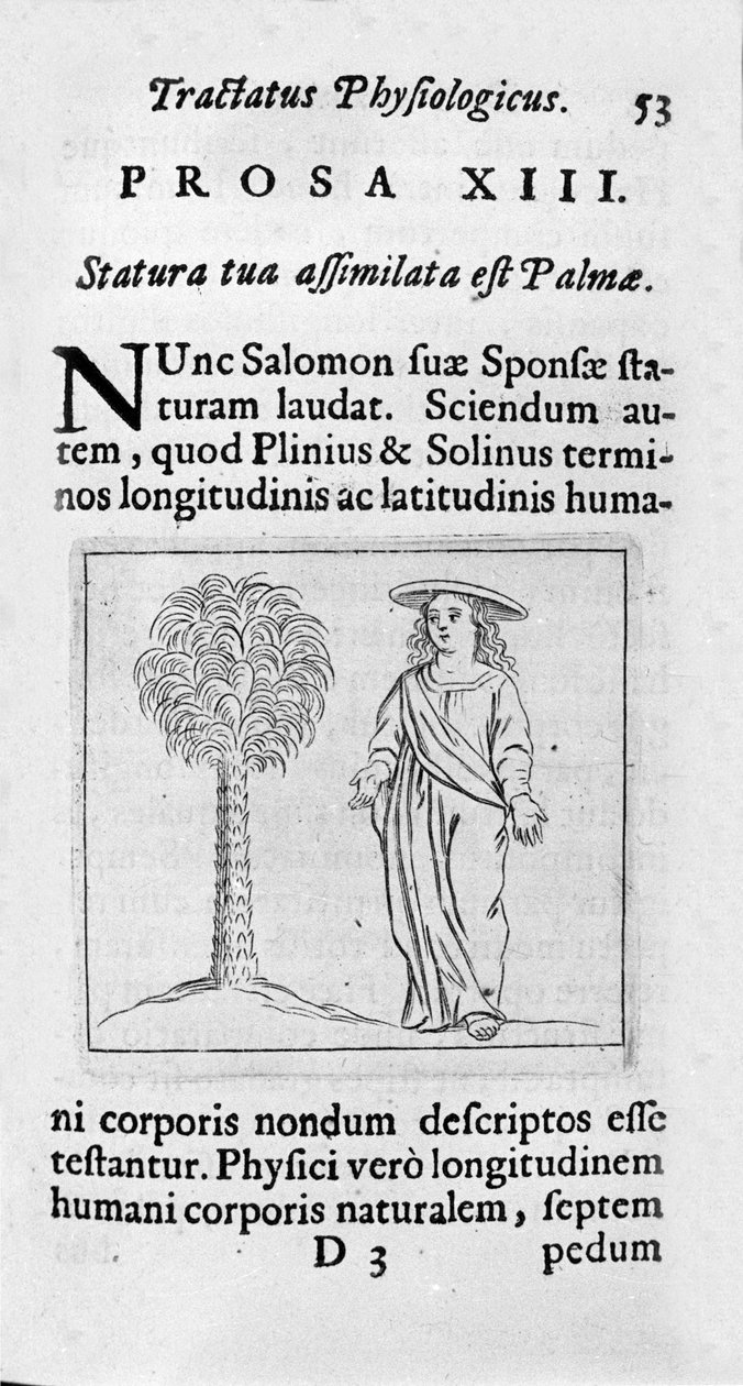 A nő mérete. A „Tractatus physiologicus de pulchritudine”” című oldal Ernesto Venióval (Ernestus Vaenius) foglalkozik, aki megvédi a teremtés szépségét egy névtelen ellenféllel szemben. 1612 alkotó: Unknown artist