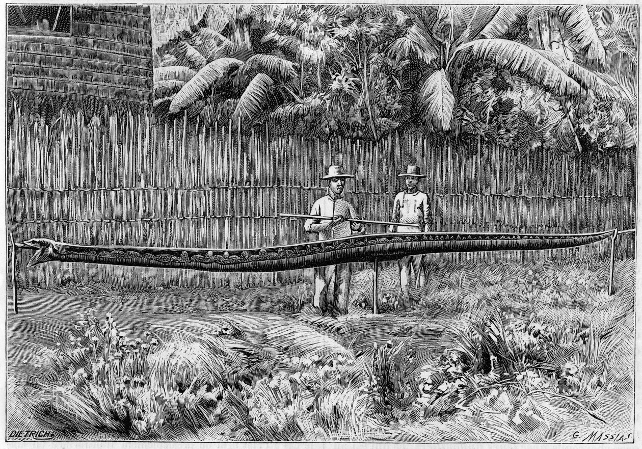 Egy 6,60 méter hosszú Python kígyó bőrét fogták be a Fülöp-szigeteken. (Fényképről). Metszet az 1892. július 16-i „” La Nature: revue des sciences et de leurs applications aux arts et a l
